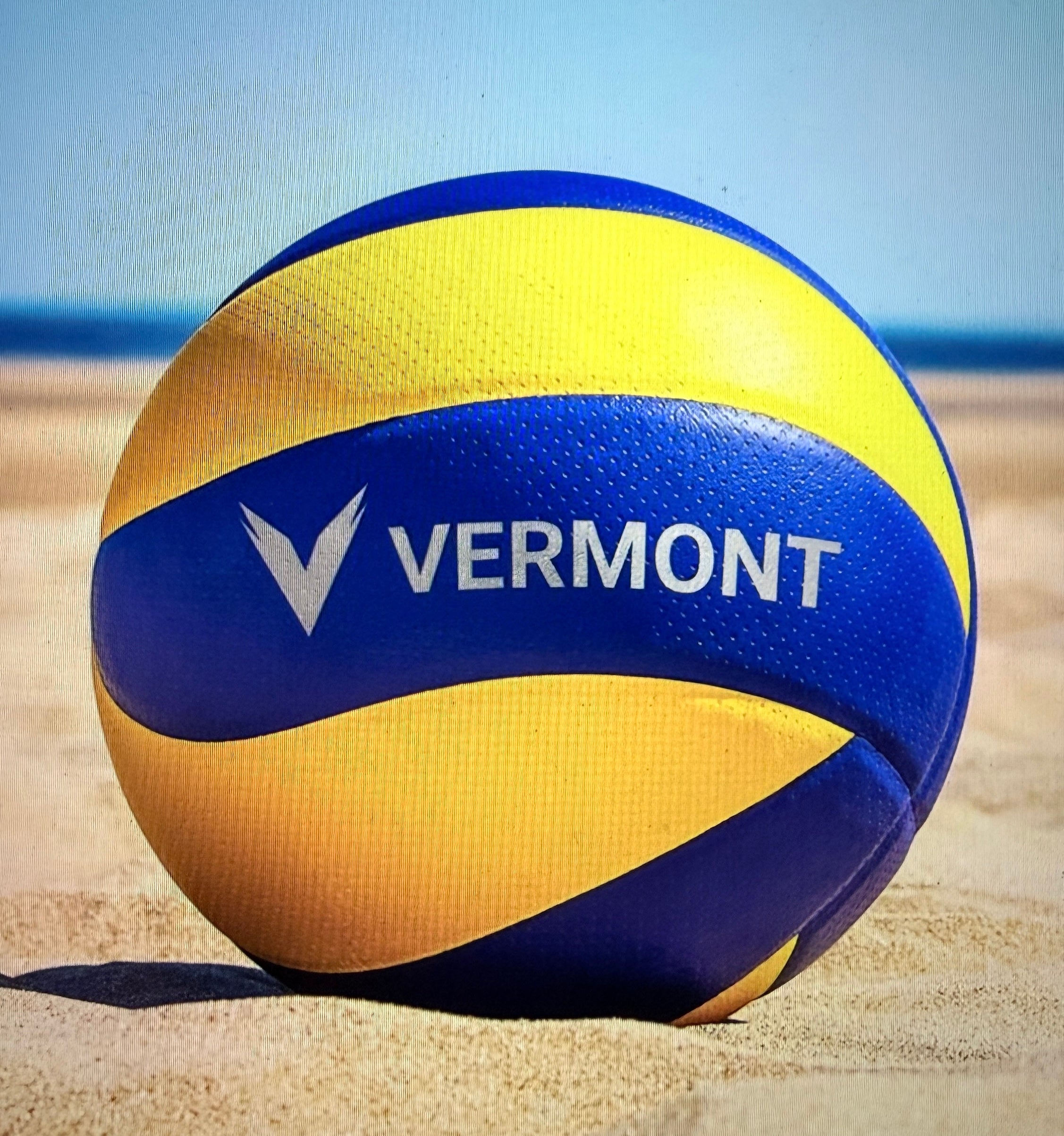 Sports volleyball